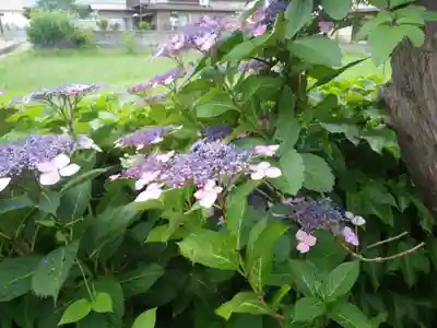 護国寺(山口県)