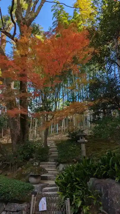 榮攝院(栄摂院)(京都府)