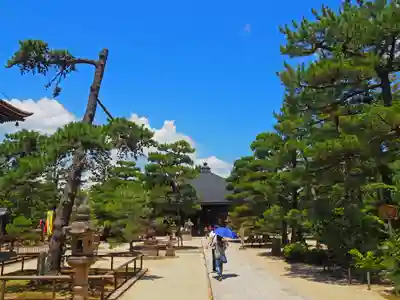 智恩寺(京都府)