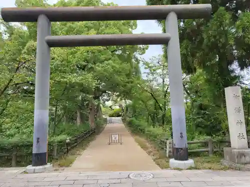 柳澤神社の鳥居