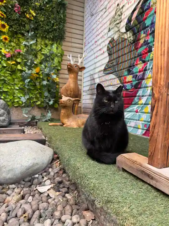 露天神社(お初天神)(大阪府)