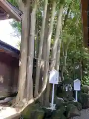 検見川神社(千葉県)