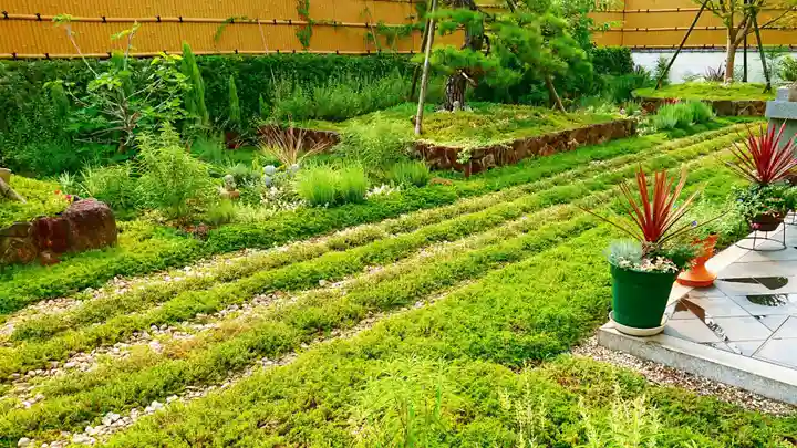 寿量山 速成寺の周辺