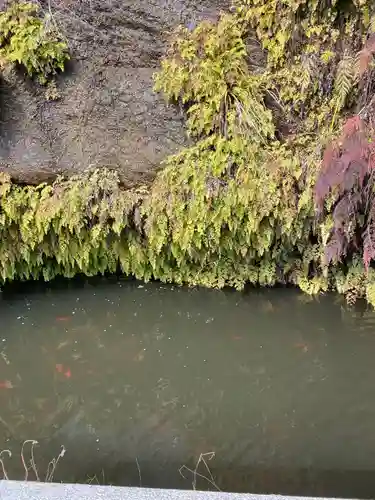 銭洗弁財天宇賀福神社(神奈川県)