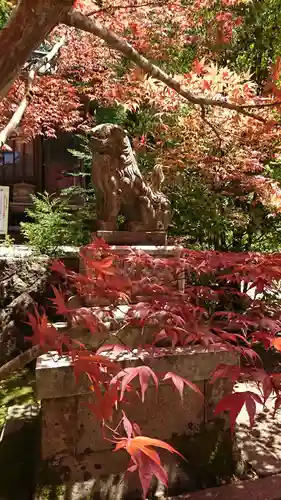 柴神社の狛犬