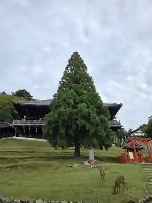 東大寺 二月堂(奈良県)
