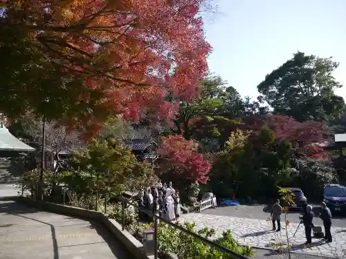 鎌倉宮の庭園