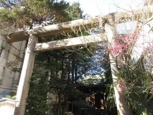 櫻木神社の鳥居