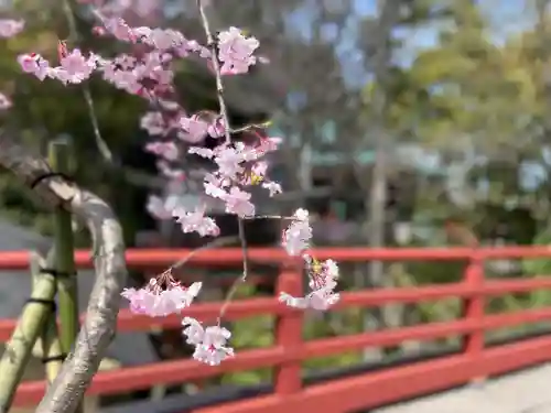 多摩川浅間神社の自然