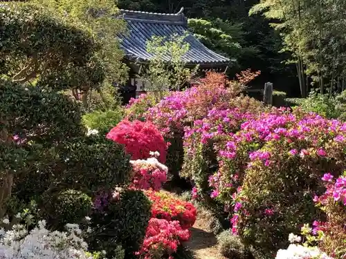 船宿寺の庭園