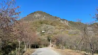 高屋神社(香川県)