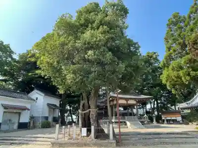 諏訪神社(滋賀県)
