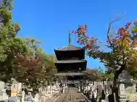 くろ谷 金戒光明寺(京都府)