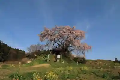 上石不動堂の自然