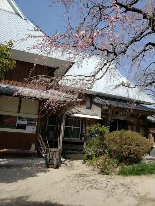 宝珠寺の本殿・本堂