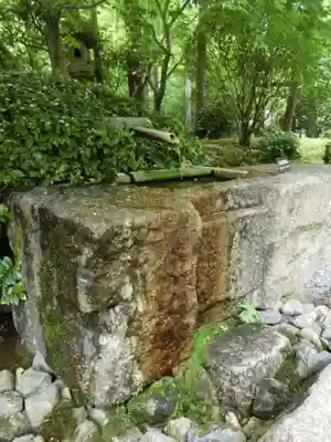 龍安寺の手水舎