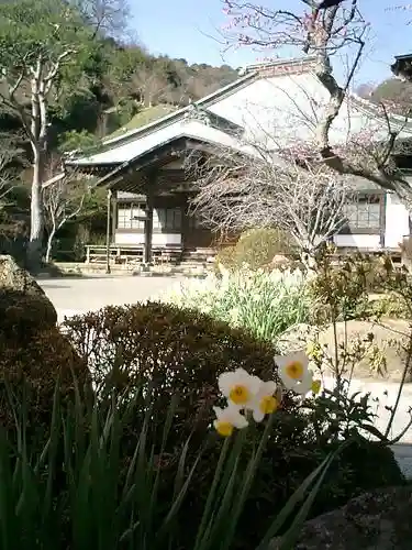 海蔵寺の本殿・本堂