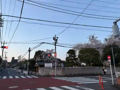 善福寺の{uncategorized: "未分類", other: "その他", undefined: "問題あり", building: "その他建物", grave: "お墓", sacred_gate: "鳥居", guardian: "狛犬", statue: "像", buddha: "仏像", history: "歴史", nature: "自然", garden: "庭園", animal: "動物", pagoda: "塔", temizu: "手水舎", mountain_gate: "山門・神門", sanctuary: "本殿・本堂", subordinate: "末社・摂社", art: "芸術", scenery: "景色", jizo: "地蔵", ema: "絵馬", goshuin: "御朱印", omikuji: "おみくじ", items: "授与品その他", amulet: "お守り", goshuincho: "御朱印帳", eats: "食事", festival: "お祭り", votive_dance: "神楽", shichigosan: "七五三参", wedding: "結婚式", experience: "体験その他", initially: "初詣", around: "周辺", anti_infection: "感染症対策"}