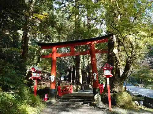 貴船神社の鳥居