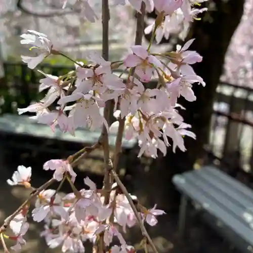 根岸八幡神社(神奈川県)