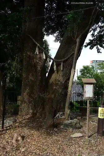 八景天祖神社(東京都)
