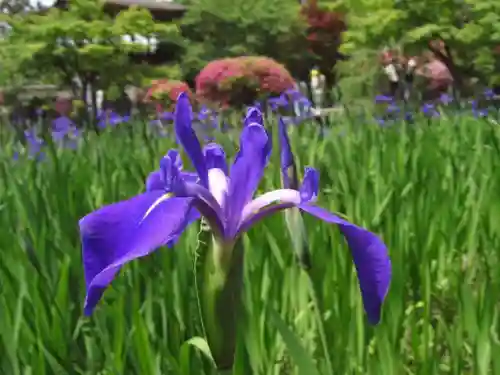 長岳寺の庭園