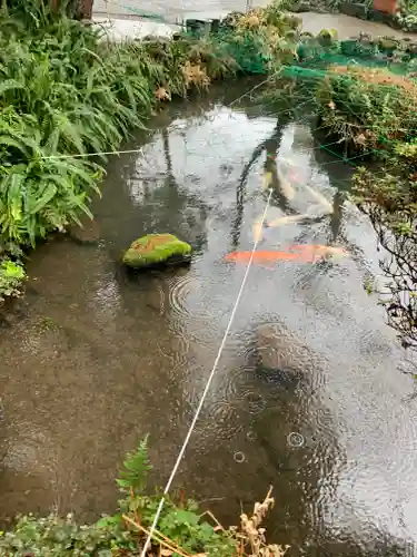 白峰宮の庭園