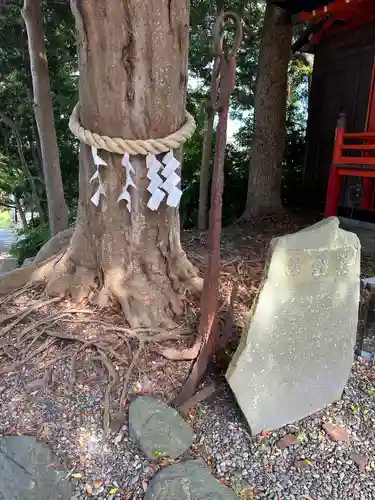 玉前神社(千葉県)