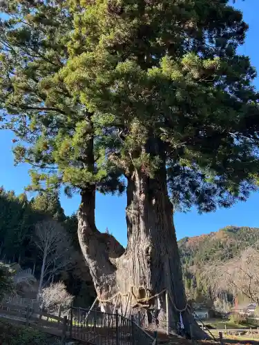 月瀬神社(長野県)