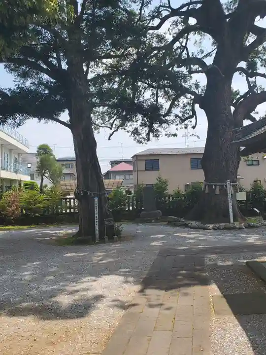 金鑚神社(埼玉県)