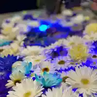 札幌諏訪神社の手水舎