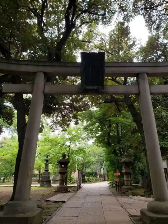 赤坂氷川神社の鳥居