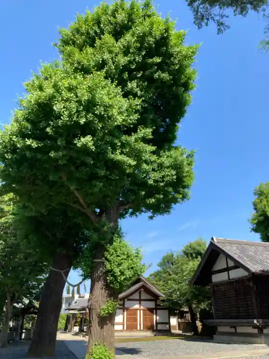 代田八幡神社(東京都)