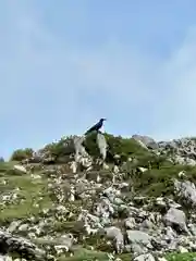 伊吹山（霊峰）(滋賀県)