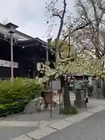七社神社の本殿・本堂
