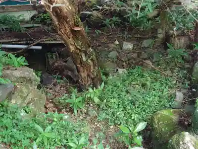 岐阜護國神社(岐阜県)