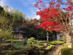 小川寺の建物その他