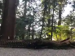 高千穂神社(宮崎県)