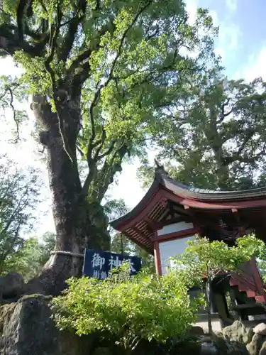 鹿児島神宮(鹿児島県)