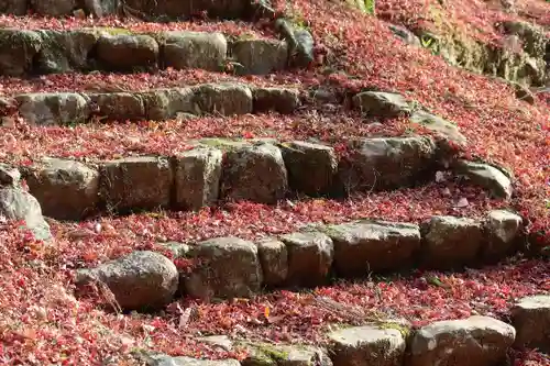 鳳来寺(愛知県)