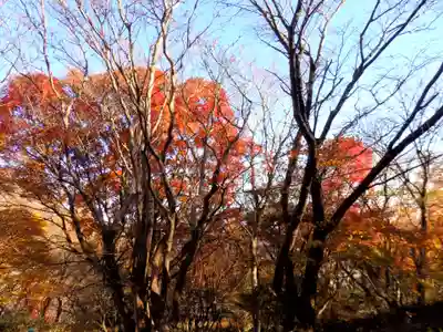 筑波山神社 男体山御本殿の自然