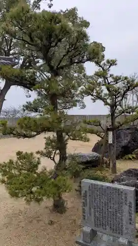 稱名寺の自然