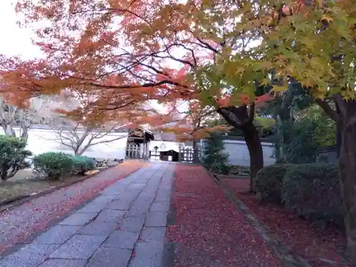 養源院(京都府)