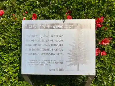 円乗院(東京都)