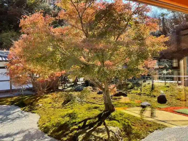 長壽寺(長寿寺)(神奈川県)