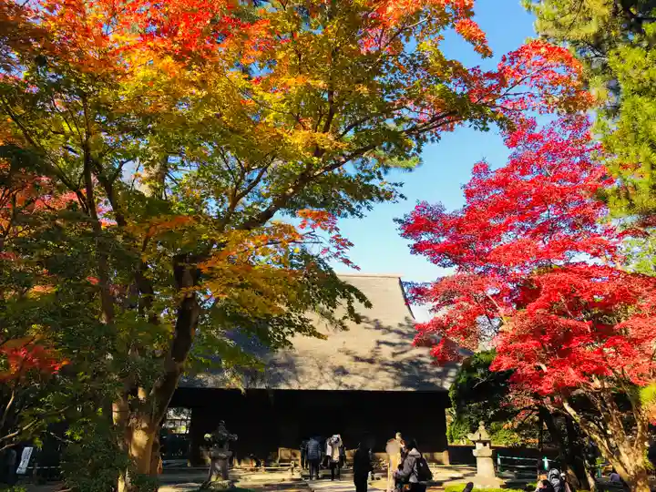 平林寺のその他建物