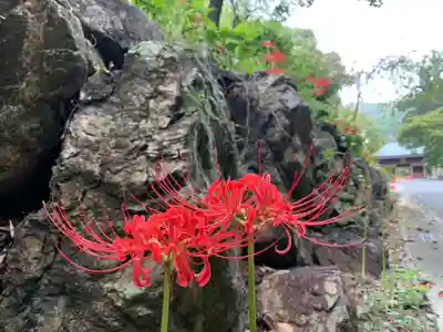 普門寺(切り絵御朱印発祥の寺)(愛知県)