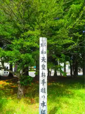 真駒内神社(北海道)