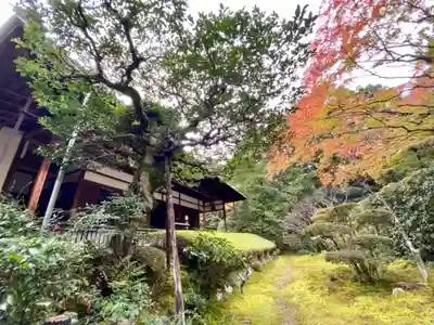 桂春院(京都府)