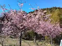 大善寺の自然